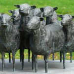 Tineke Bot en ‘onze’ schapen