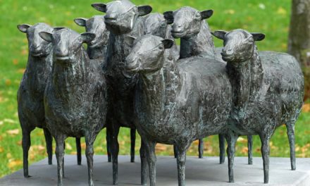 Tineke Bot en ‘onze’ schapen