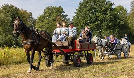 Fotoreportages van alle evenementen