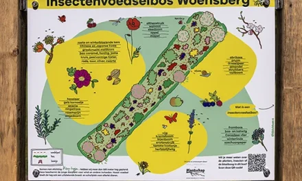 Het insectenvoedselbos Woensberg