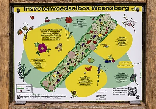 Het insectenvoedselbos Woensberg