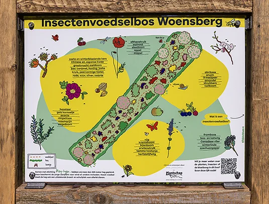 Het insectenvoedselbos Woensberg