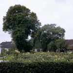 Dorpskiekje uit 1969