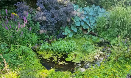 Voorjaarsschoonmaak in de tuin