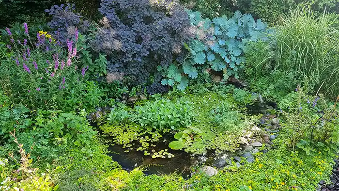 Voorjaarsschoonmaak in de tuin