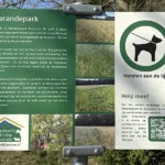 Wandelen met Respect