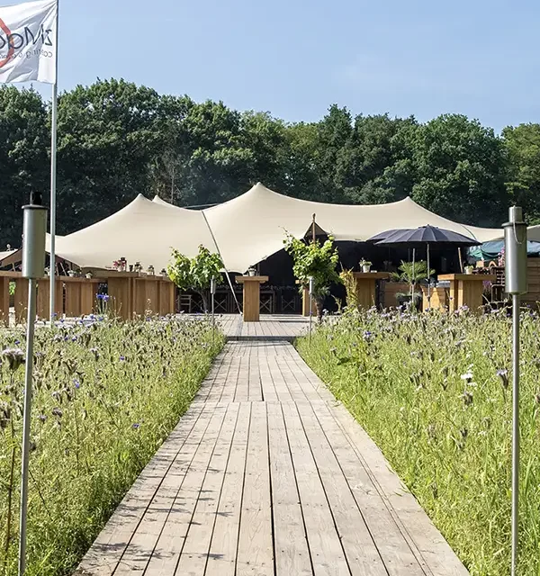 Wie wordt de alwetende Blaricummer?