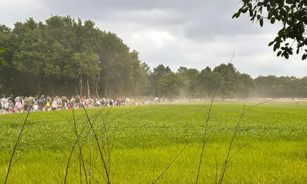 Lange tenen en korte lontjes