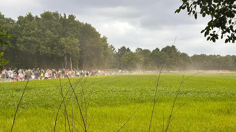 Lange tenen en korte lontjes