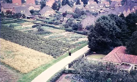 Van groentetuin tot huurappartementen