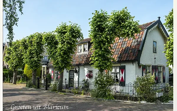 Zomeren in Blaricum