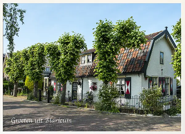 Zomeren in Blaricum