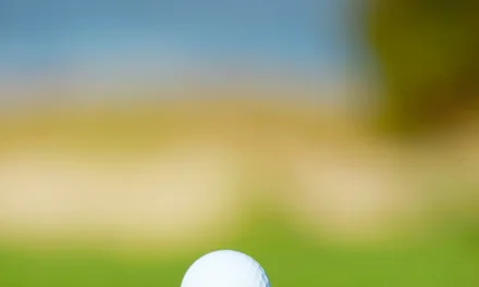 Blaricum slaat een Hole-in-One!