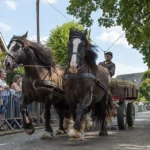 Blaricumse Kermisweek
