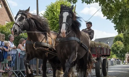 Blaricumse Kermisweek