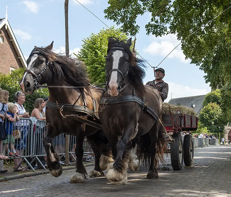 Blaricumse Kermisweek