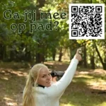 Herfst op de hei: een paddenstoelenparadijs