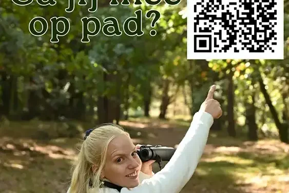 Herfst op de hei: een paddenstoelenparadijs