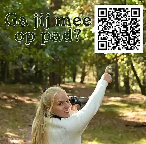 Herfst op de hei: een paddenstoelenparadijs