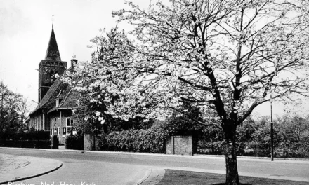 De herinneringsboom prinses Beatrix