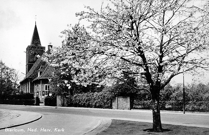 De herinneringsboom prinses Beatrix