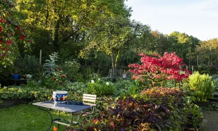 Blaricum Buiten – Droomtuin