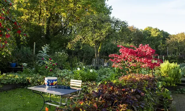 Blaricum Buiten – Droomtuin