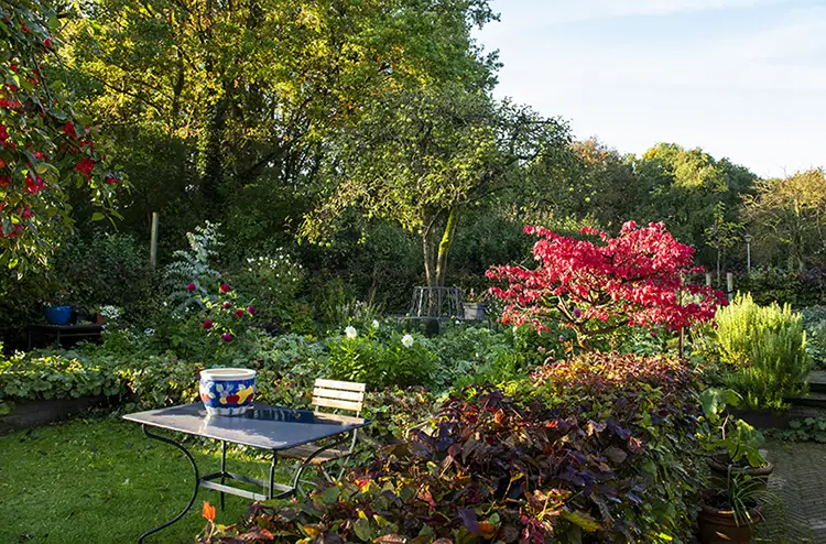 Blaricum Buiten – Droomtuin