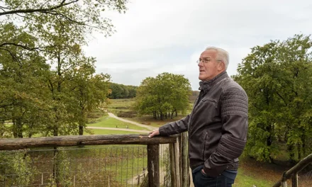 Dichter bij Blaricum