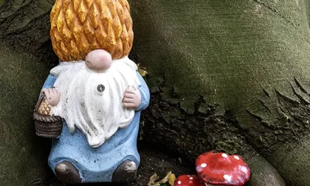 Om de hoek – wat in Blaricum en omgeving te beleven is