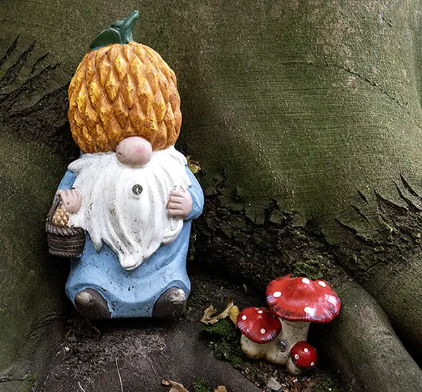 Om de hoek – wat in Blaricum en omgeving te beleven is