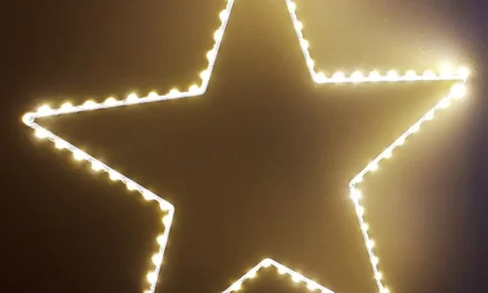 Warm Welkom bij de Kerstster