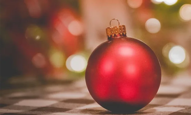 Dichter bij Blaricum