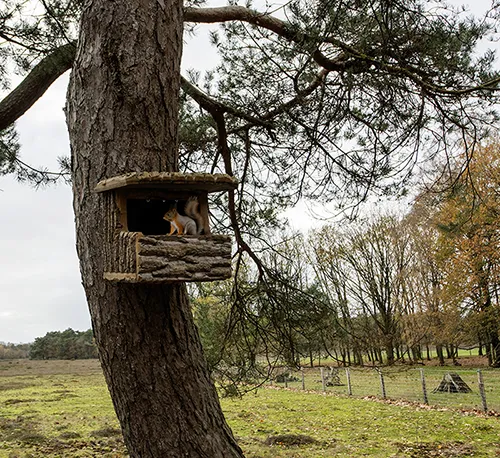 Huisje Boompje Beestje