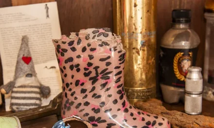 Rariteiten en koeien in de mist