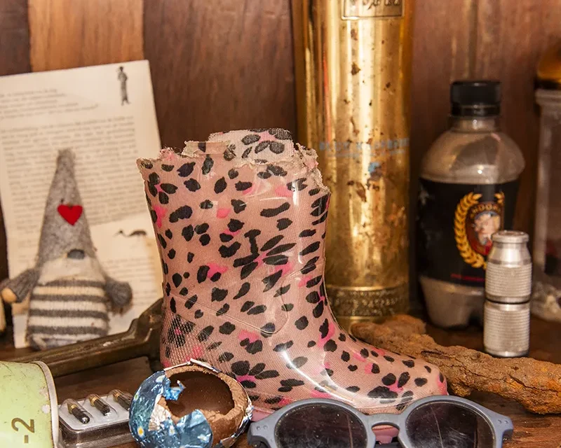 Rariteiten en koeien in de mist