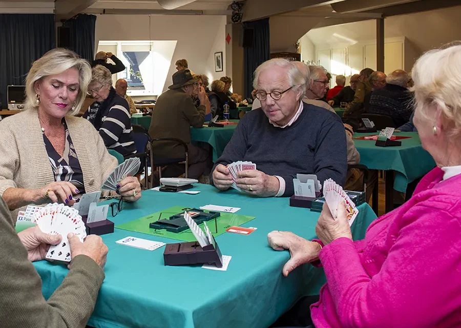 Bridge voor jong en oud