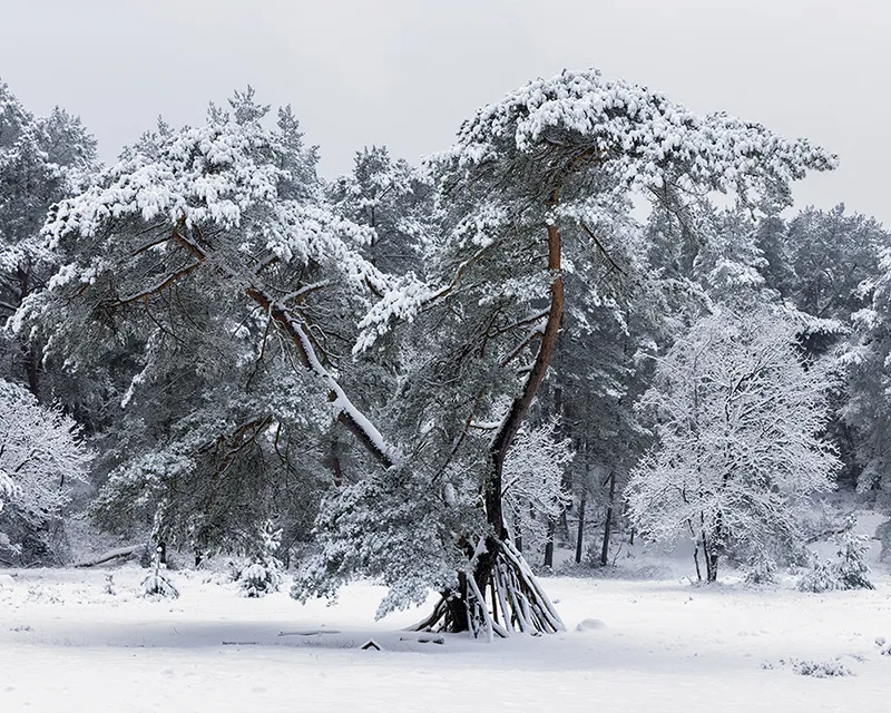Blaricum in winterse sferen