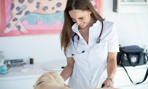 Arabella Burgers, dierenarts met een missie