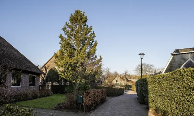 Herinneringen in zwart-wit