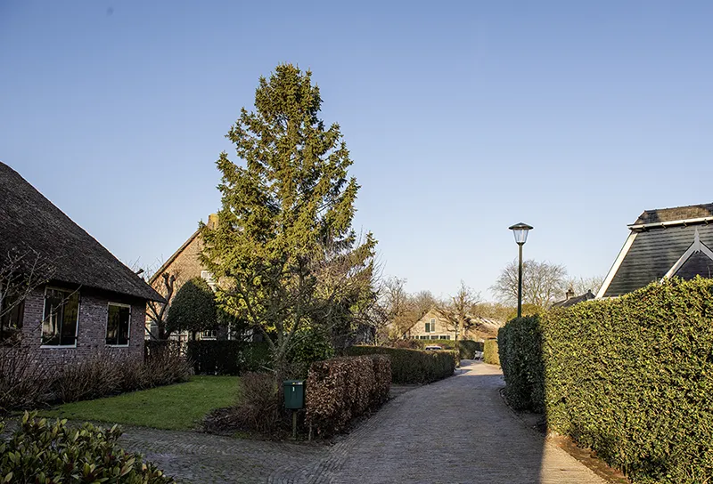 Herinneringen in zwart-wit