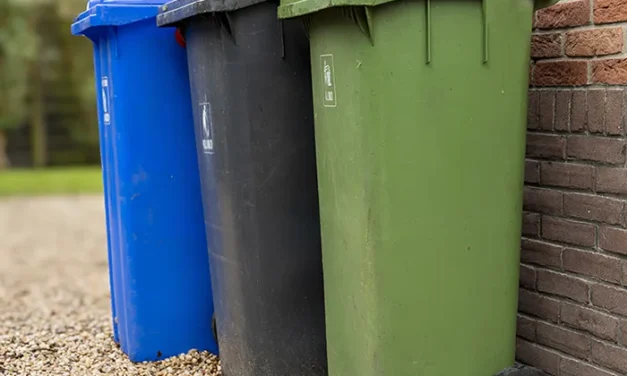 Ode aan de vuilnisman en vuilnisvrouw