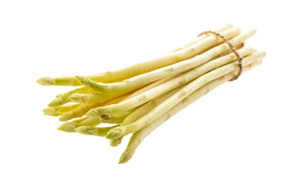 Asperges, ze zijn er weer!