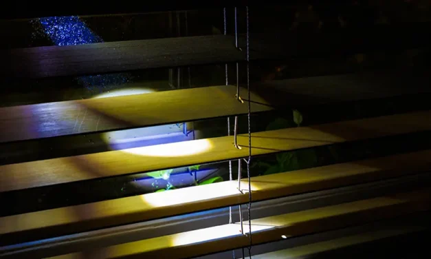 Een bizarre nacht na een avondje hei & wei