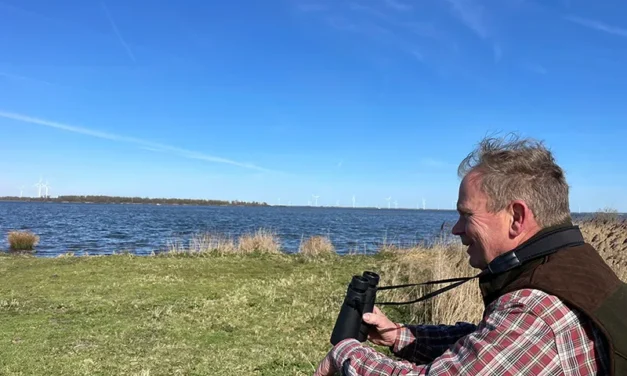 Alles voor de weidevogels