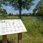 Blaricum Buiten – De Bonte Berm