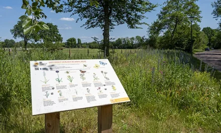 Blaricum Buiten – De Bonte Berm