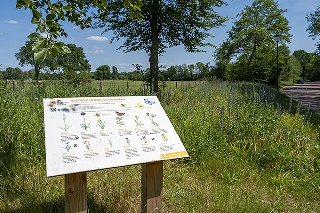 Blaricum Buiten – De Bonte Berm