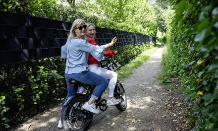 Op zoek naar (olifanten)paadjes