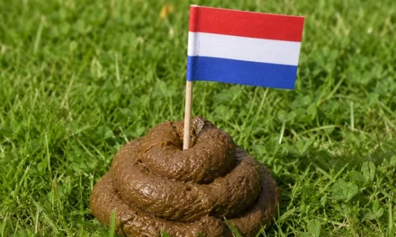 Hondenpoep in een zakje